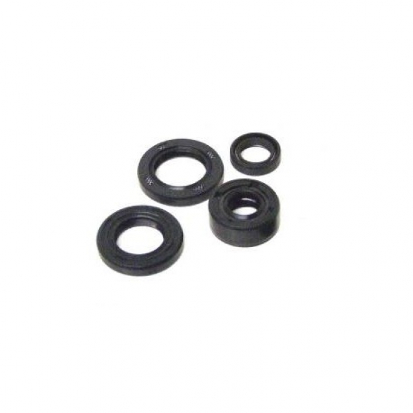 Motordichtungen Kayo TD125/TT125 125cc