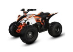 Elektro Quad Kayo ATV eA110 2100W 48V Artnr.: V3422